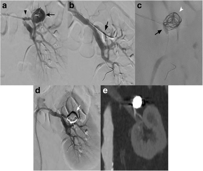 https://cdn.ncbi.nlm.nih.gov/pmc/blobs/1be0/6966351/9b5eafa919db/42155_2018_18_Fig2_HTML.jpg