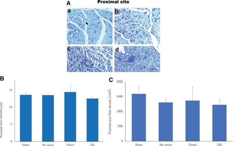 https://cdn.ncbi.nlm.nih.gov/pmc/blobs/1be1/10043553/5e211fd6b941/gox-11-e4875-g004.jpg