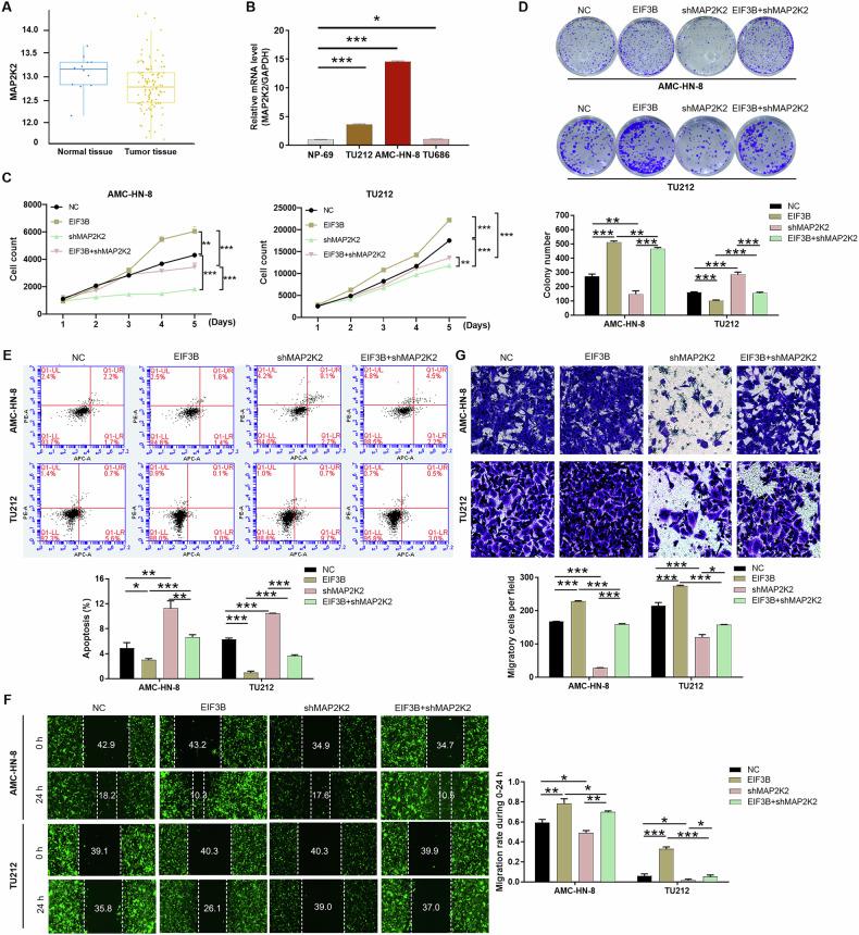 https://cdn.ncbi.nlm.nih.gov/pmc/blobs/1be1/12280010/ce8cb127e188/41420_2025_2634_Fig4_HTML.jpg