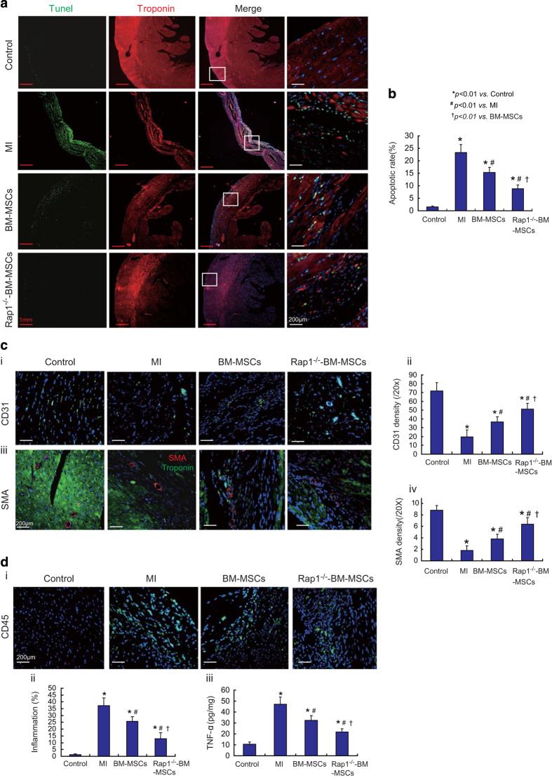 https://cdn.ncbi.nlm.nih.gov/pmc/blobs/1be1/4981000/033a3825c2d6/cddiscovery20157-f6.jpg