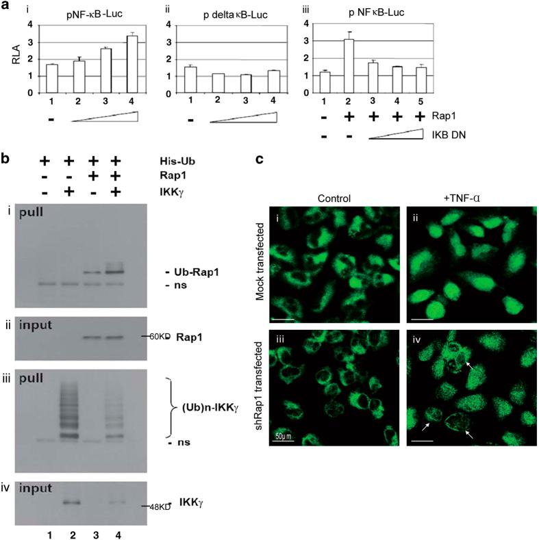 https://cdn.ncbi.nlm.nih.gov/pmc/blobs/1be1/4981000/436ba80be594/cddiscovery20157-f2.jpg