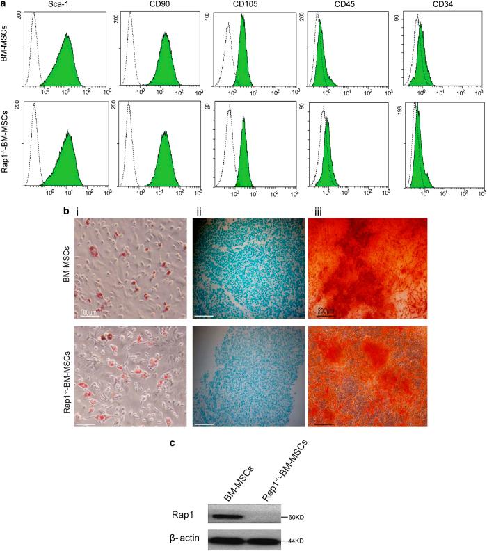 https://cdn.ncbi.nlm.nih.gov/pmc/blobs/1be1/4981000/55595e3e3b6a/cddiscovery20157-f1.jpg