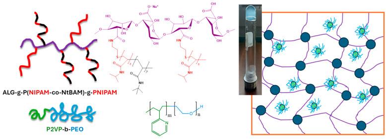 https://cdn.ncbi.nlm.nih.gov/pmc/blobs/1be3/11013835/b22e4174e9e4/polymers-16-00886-sch001.jpg
