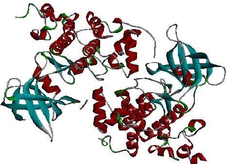 https://cdn.ncbi.nlm.nih.gov/pmc/blobs/1be3/3321233/1f7b7a5e644f/97320630008251F2.jpg