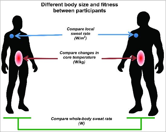 https://cdn.ncbi.nlm.nih.gov/pmc/blobs/1be4/4843865/1e289eb2d73b/ktmp-02-01-996093-g001.jpg