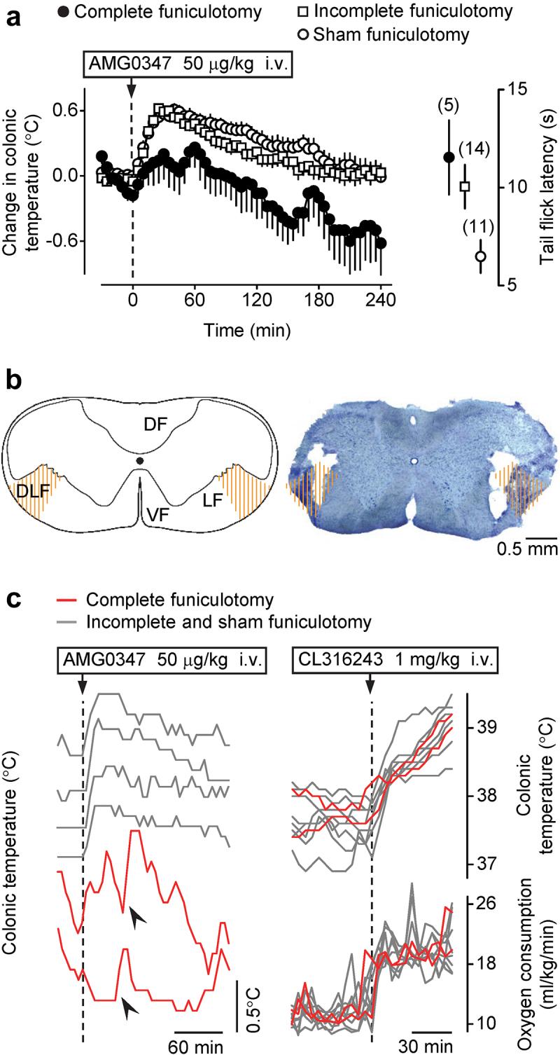 https://cdn.ncbi.nlm.nih.gov/pmc/blobs/1be5/10177699/4bf74dbe8d9a/KTMP_A_2171671_F0003_OC.jpg