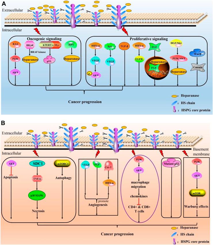 https://cdn.ncbi.nlm.nih.gov/pmc/blobs/1be6/9500389/1ec6464e04fb/fchem-10-926353-g003.jpg