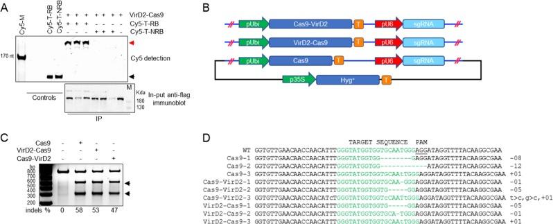 https://cdn.ncbi.nlm.nih.gov/pmc/blobs/1be7/6978410/c0aa5d8c2299/42003_2020_768_Fig3_HTML.jpg