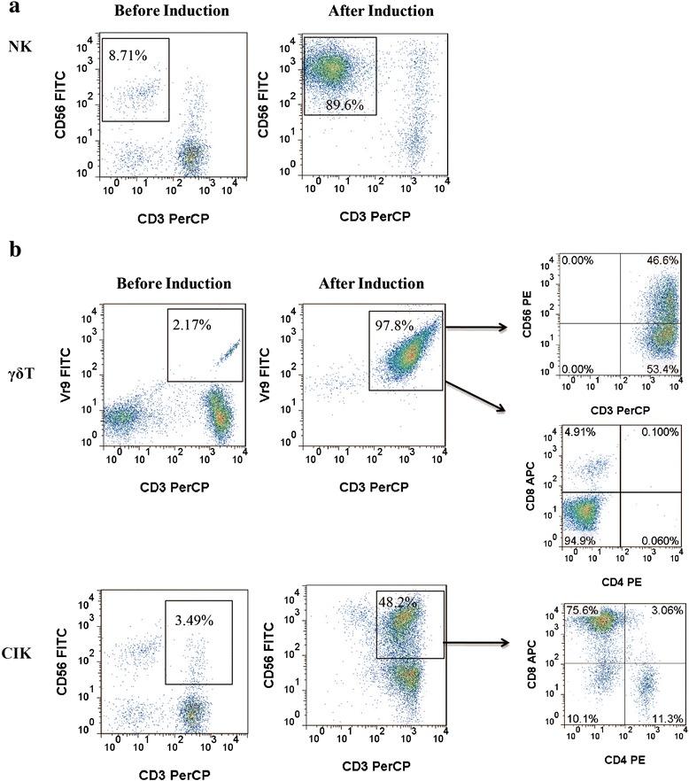 https://cdn.ncbi.nlm.nih.gov/pmc/blobs/1be8/4601131/7d029bab5b17/12865_2015_124_Fig2_HTML.jpg