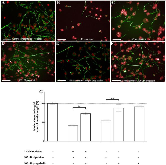https://cdn.ncbi.nlm.nih.gov/pmc/blobs/1be8/7946280/60db667cb1f1/pone.0248139.g002.jpg