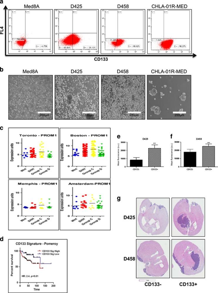 https://cdn.ncbi.nlm.nih.gov/pmc/blobs/1bea/5541269/784a98f0664a/onc2016235f1.jpg