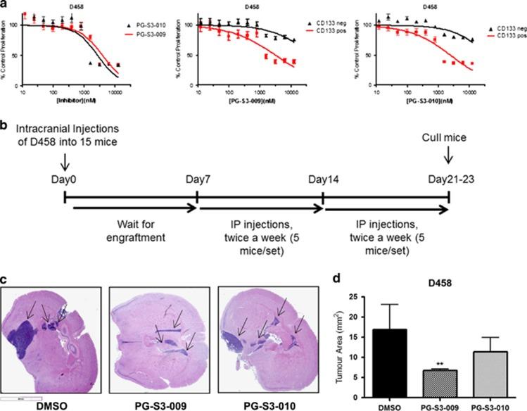 https://cdn.ncbi.nlm.nih.gov/pmc/blobs/1bea/5541269/c8df393ce08d/onc2016235f6.jpg