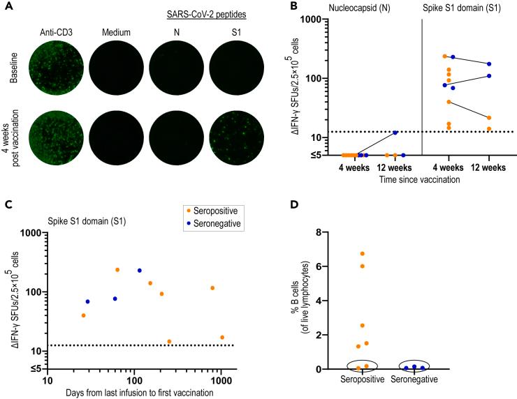 https://cdn.ncbi.nlm.nih.gov/pmc/blobs/1bec/8449242/8e8403a0ae4f/gr6.jpg