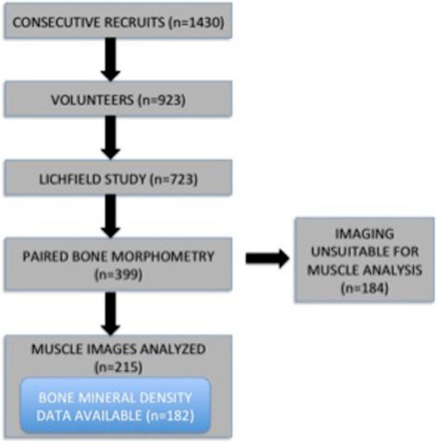 https://cdn.ncbi.nlm.nih.gov/pmc/blobs/1bed/4366847/c1f802e769d5/srep09323-f1.jpg