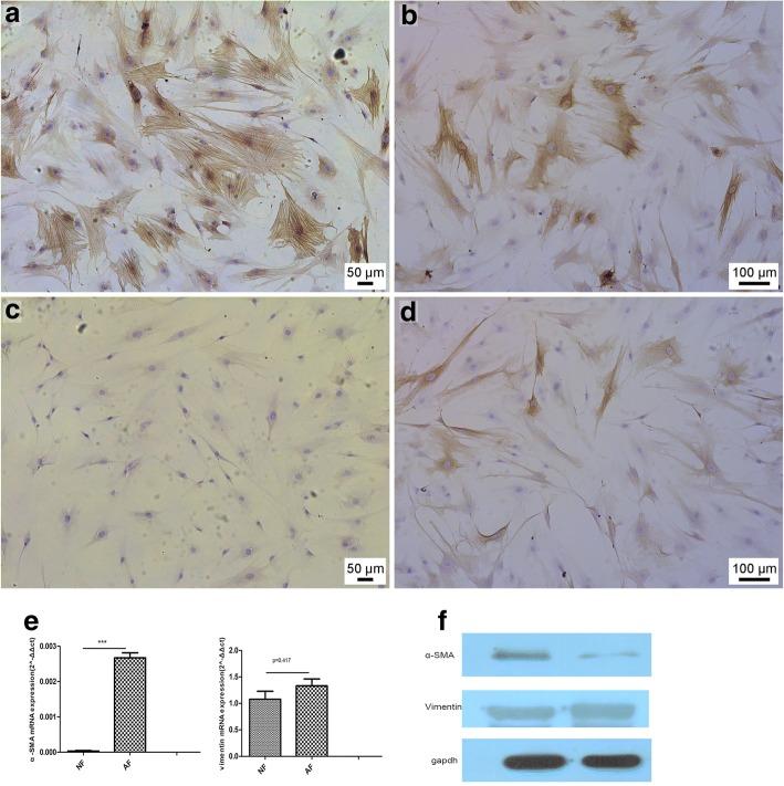 https://cdn.ncbi.nlm.nih.gov/pmc/blobs/1bed/6267065/12e55ee275ff/12903_2018_656_Fig3_HTML.jpg