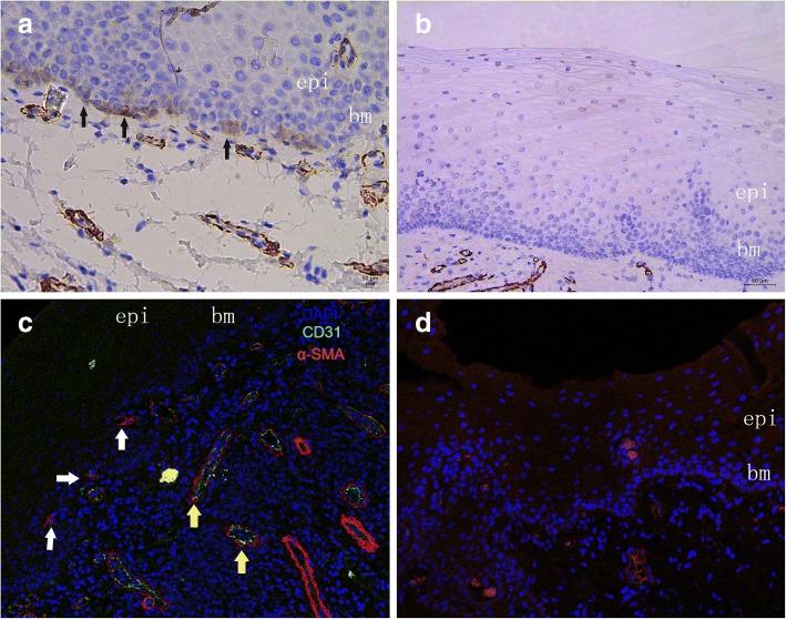 https://cdn.ncbi.nlm.nih.gov/pmc/blobs/1bed/6267065/426f4014fc77/12903_2018_656_Fig1_HTML.jpg