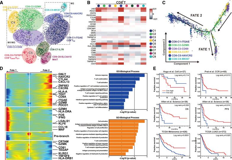 https://cdn.ncbi.nlm.nih.gov/pmc/blobs/1bef/8025811/ed3a57a35cc1/jitc-2020-002312f03.jpg