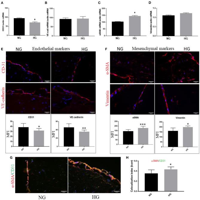 https://cdn.ncbi.nlm.nih.gov/pmc/blobs/1bef/8387830/1cf0895bf8a2/fcvm-08-714573-g0005.jpg