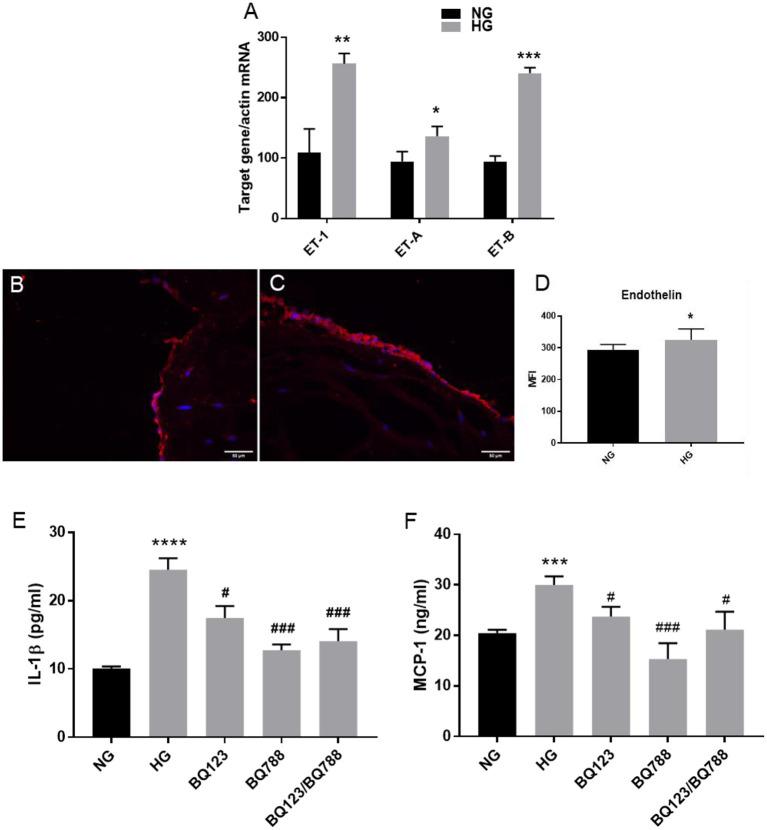 https://cdn.ncbi.nlm.nih.gov/pmc/blobs/1bef/8387830/1d6397a7bafa/fcvm-08-714573-g0006.jpg