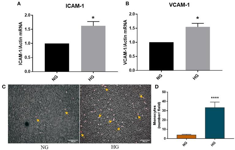 https://cdn.ncbi.nlm.nih.gov/pmc/blobs/1bef/8387830/519c7e79ffb7/fcvm-08-714573-g0007.jpg