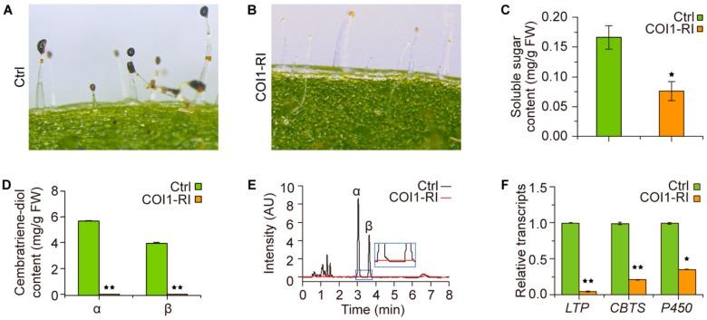 https://cdn.ncbi.nlm.nih.gov/pmc/blobs/1bf2/6222485/28153870bd4d/molecules-23-02511-g004.jpg