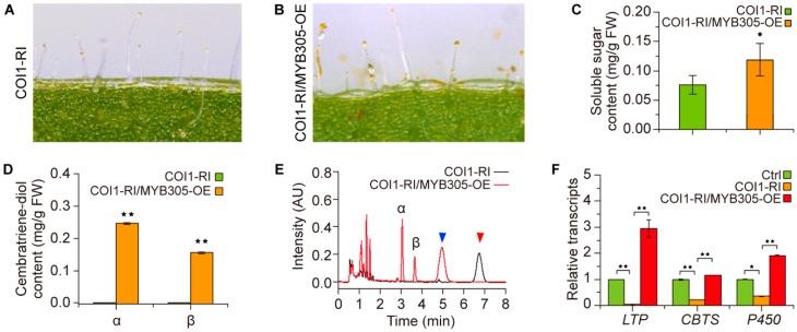 https://cdn.ncbi.nlm.nih.gov/pmc/blobs/1bf2/6222485/b4339169166e/molecules-23-02511-g006.jpg