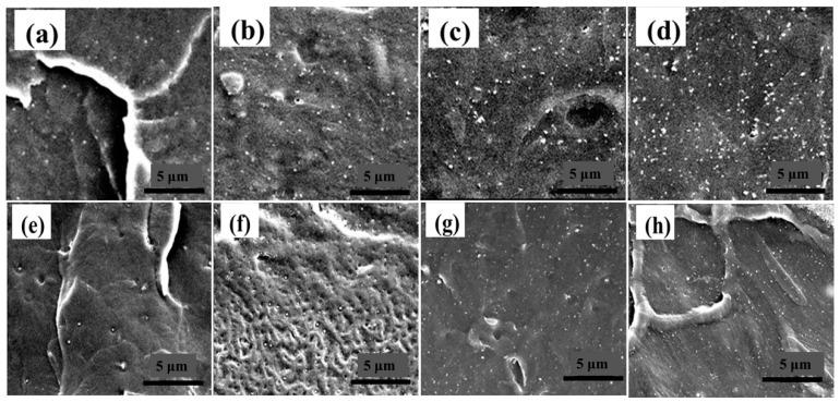 https://cdn.ncbi.nlm.nih.gov/pmc/blobs/1bf4/11173522/5db8ff0973eb/nanomaterials-14-00985-g004.jpg