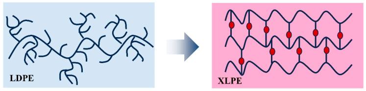 https://cdn.ncbi.nlm.nih.gov/pmc/blobs/1bf4/11173522/9c61b6d55267/nanomaterials-14-00985-g002.jpg