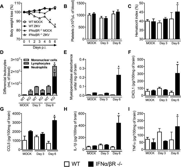 https://cdn.ncbi.nlm.nih.gov/pmc/blobs/1bf4/5405231/2b499d863a3f/mbo0021732890001.jpg