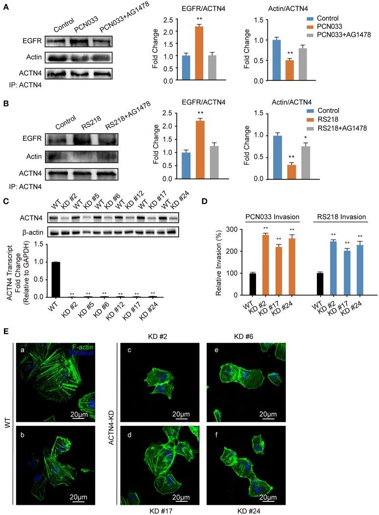 https://cdn.ncbi.nlm.nih.gov/pmc/blobs/1bf4/6333852/15432ffd9e8b/fcimb-08-00448-g0005.jpg