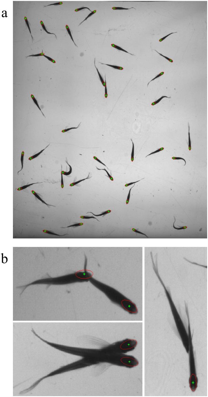 https://cdn.ncbi.nlm.nih.gov/pmc/blobs/1bf5/4160317/f813ee5f2ace/pone.0106506.g008.jpg