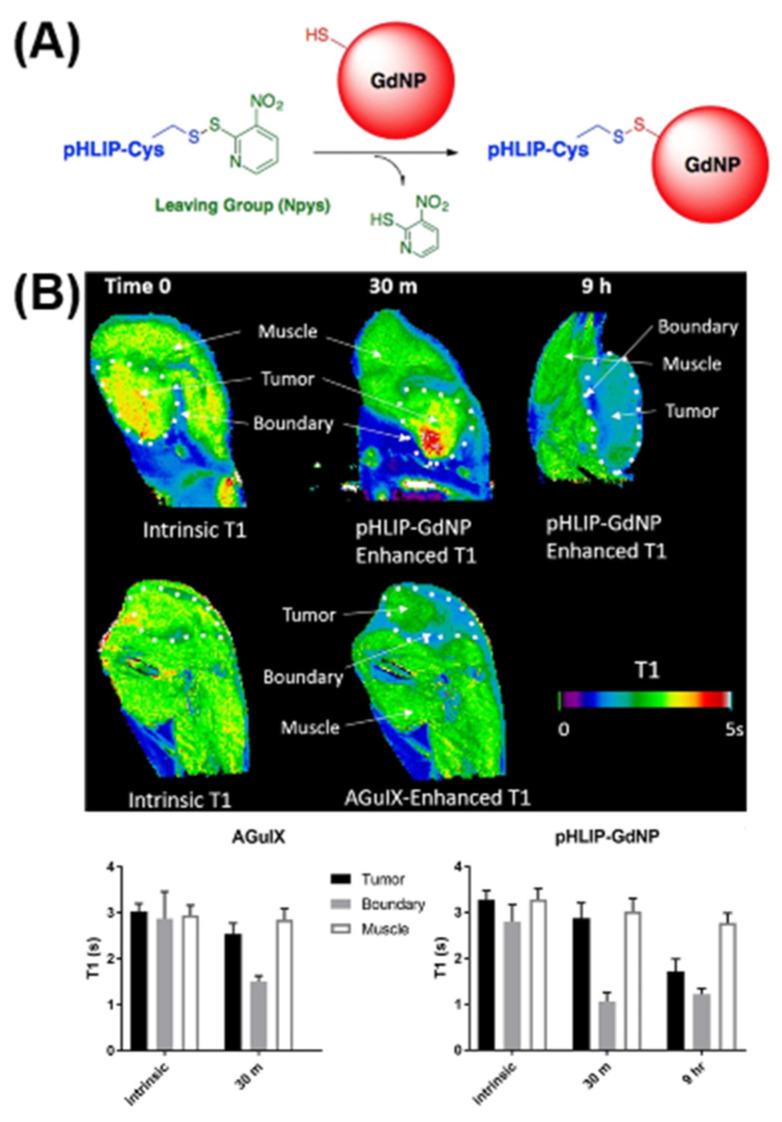 https://cdn.ncbi.nlm.nih.gov/pmc/blobs/1bf8/10004179/9ad1351a9b56/molecules-28-02175-g002.jpg