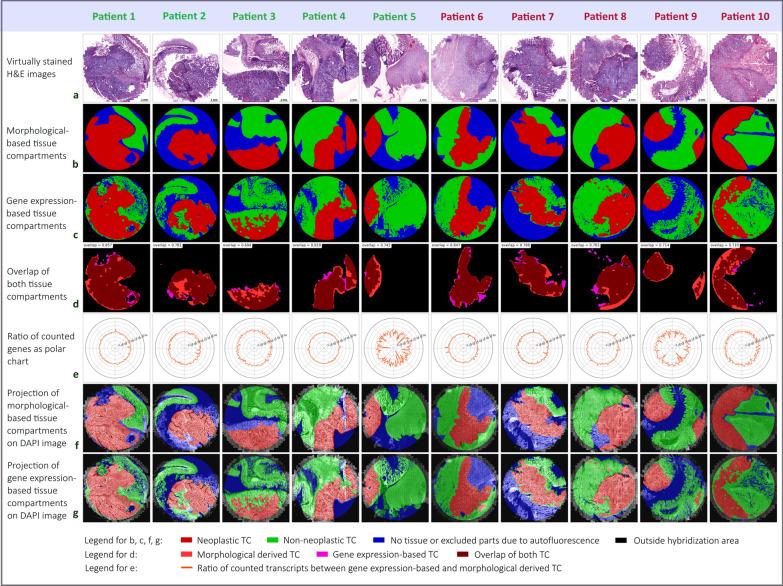 https://cdn.ncbi.nlm.nih.gov/pmc/blobs/1bf8/10403907/497144fd8607/12967_2023_4384_Fig2_HTML.jpg