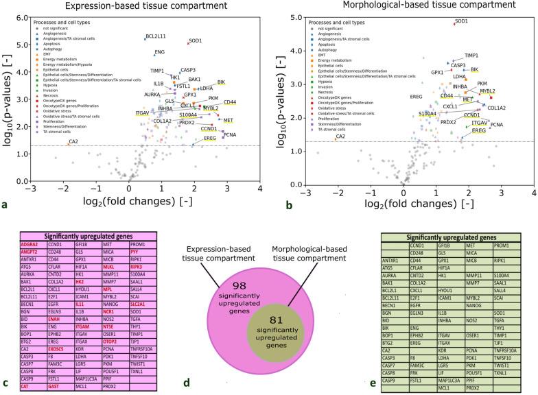 https://cdn.ncbi.nlm.nih.gov/pmc/blobs/1bf8/10403907/5e6dc8b53ea8/12967_2023_4384_Fig4_HTML.jpg