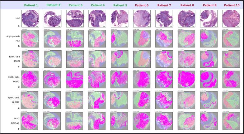 https://cdn.ncbi.nlm.nih.gov/pmc/blobs/1bf8/10403907/a19e179215c3/12967_2023_4384_Fig3_HTML.jpg