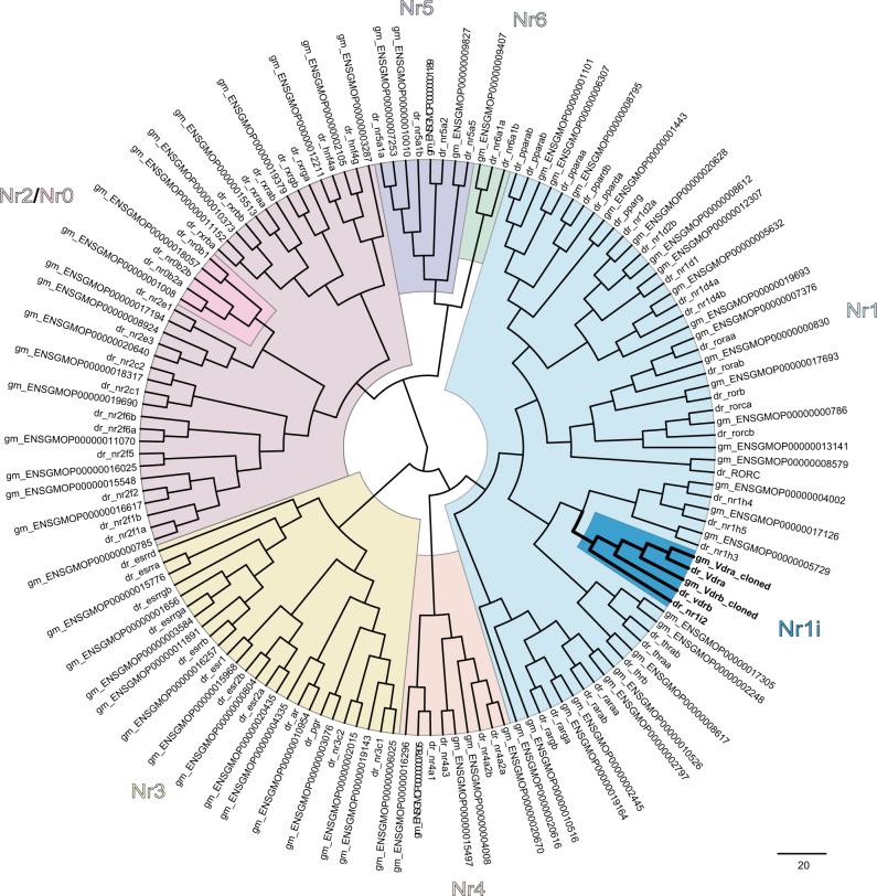https://cdn.ncbi.nlm.nih.gov/pmc/blobs/1bf9/6039460/9d7401c87c1b/41598_2018_28498_Fig5_HTML.jpg