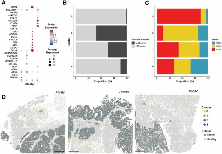 https://cdn.ncbi.nlm.nih.gov/pmc/blobs/1bfc/12165841/022d4962f2ef/41588_2025_2193_Fig14_ESM.jpg