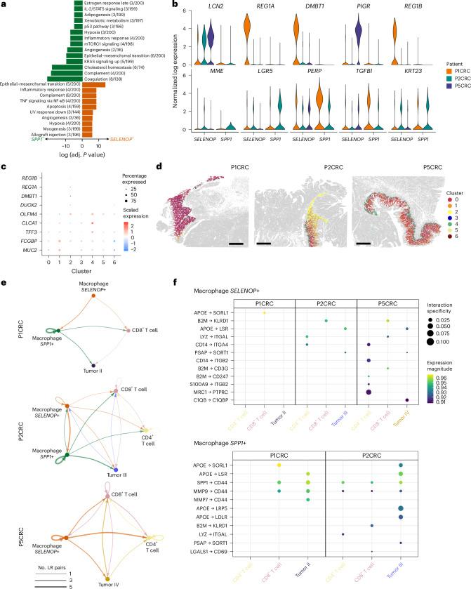 https://cdn.ncbi.nlm.nih.gov/pmc/blobs/1bfc/12165841/52bda4e00e5b/41588_2025_2193_Fig5_HTML.jpg