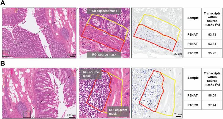 https://cdn.ncbi.nlm.nih.gov/pmc/blobs/1bfc/12165841/596d3ec743df/41588_2025_2193_Fig9_ESM.jpg