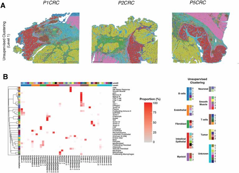 https://cdn.ncbi.nlm.nih.gov/pmc/blobs/1bfc/12165841/5af2f584c048/41588_2025_2193_Fig13_ESM.jpg