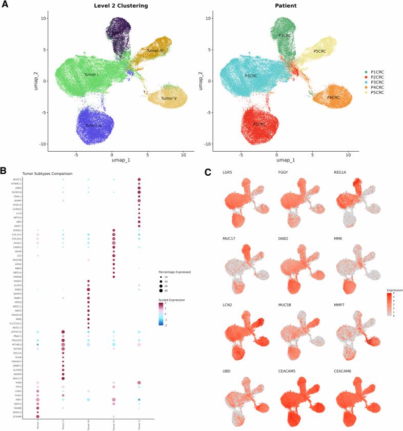 https://cdn.ncbi.nlm.nih.gov/pmc/blobs/1bfc/12165841/a16cbe323ab6/41588_2025_2193_Fig12_ESM.jpg