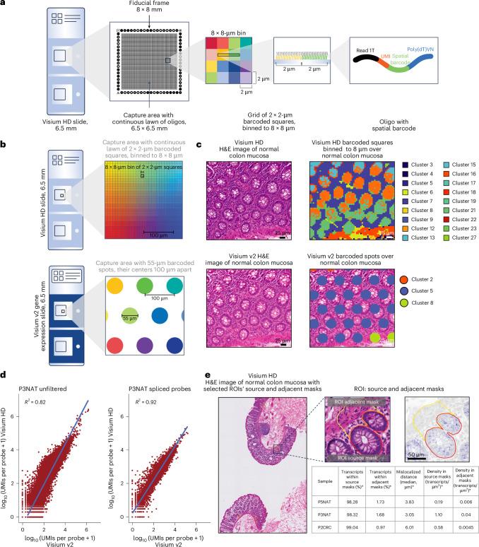 https://cdn.ncbi.nlm.nih.gov/pmc/blobs/1bfc/12165841/b289c202e37d/41588_2025_2193_Fig2_HTML.jpg