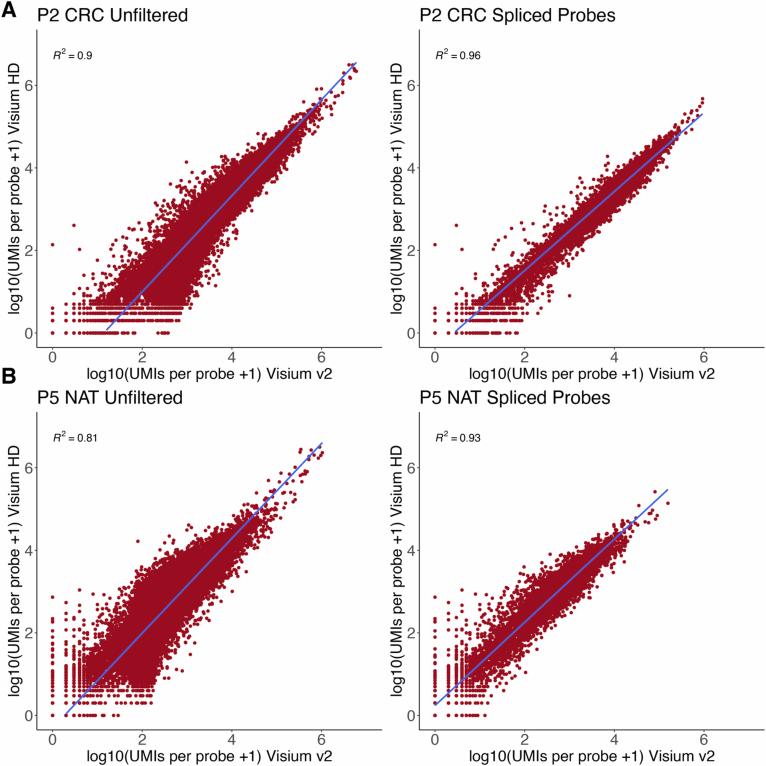 https://cdn.ncbi.nlm.nih.gov/pmc/blobs/1bfc/12165841/dba94b35dd66/41588_2025_2193_Fig8_ESM.jpg