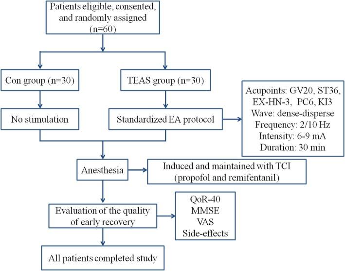 https://cdn.ncbi.nlm.nih.gov/pmc/blobs/1bfe/6951027/76fedb9e9ca2/13063_2019_3892_Fig3_HTML.jpg