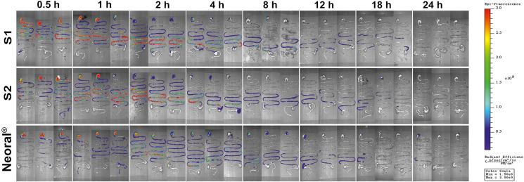 https://cdn.ncbi.nlm.nih.gov/pmc/blobs/1bfe/8105768/0ffc7e828a97/gr4.jpg