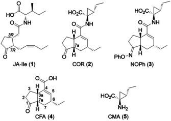 https://cdn.ncbi.nlm.nih.gov/pmc/blobs/1c02/7545439/cf5489e36685/OPEN-9-1008-g001.jpg