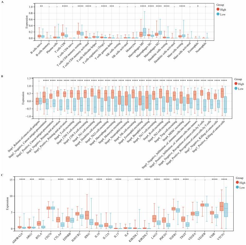 https://cdn.ncbi.nlm.nih.gov/pmc/blobs/1c03/12374943/d1358cf3a078/jcav16p3513g003.jpg