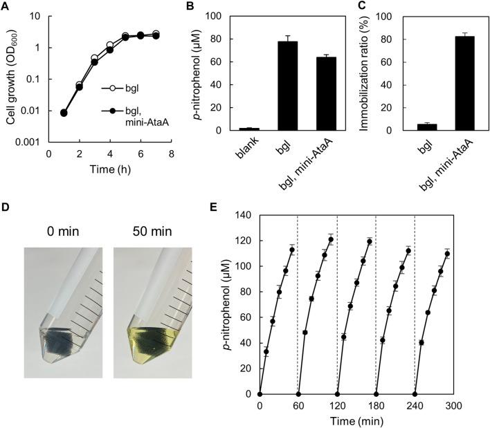 https://cdn.ncbi.nlm.nih.gov/pmc/blobs/1c04/9868564/603e2b03a5ff/fbioe-10-1095057-g006.jpg