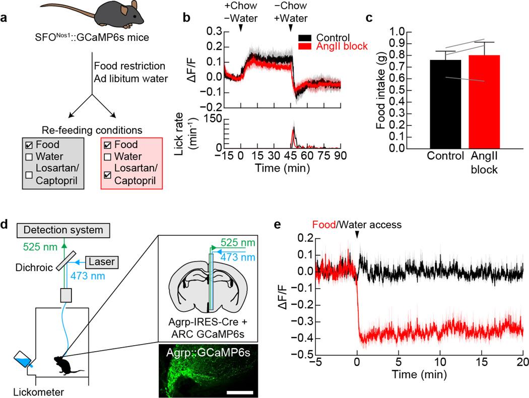 https://cdn.ncbi.nlm.nih.gov/pmc/blobs/1c06/5161740/6fb2e120177f/nihms796569f11.jpg