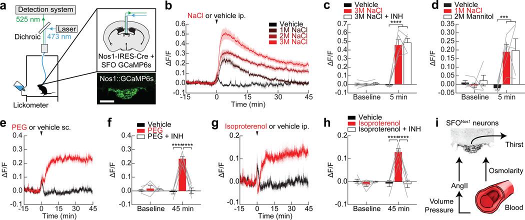 https://cdn.ncbi.nlm.nih.gov/pmc/blobs/1c06/5161740/c825b1a812c5/nihms796569f1.jpg